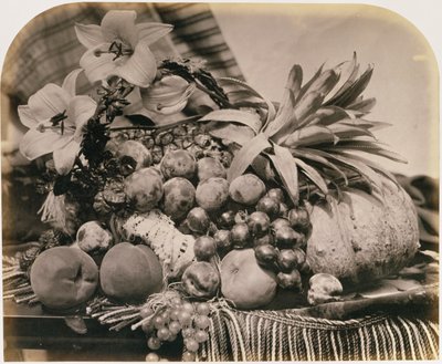 Still Life with Fruit, 1860 by Roger Fenton